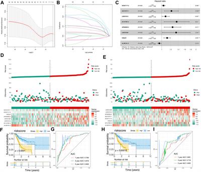 Identification of Costimulatory Molecule–Related lncRNAs Associated With Gastric Carcinoma Progression: Evidence From Bioinformatics Analysis and Cell Experiments